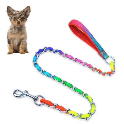 China Personalized Colorful Pet Accessories Dog Rope Slip Lead Stainless Steel Metal Dog Training Leash for sale