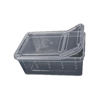 China Great Price Viable Mini Plastic Reptile Supply Plant Box Feeding Greenhouse for sale