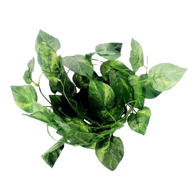 China NOMOY PET Sustainable Beautify Living Room With Evergreen Vines And Leaves NFF-11 NFF-12 for sale