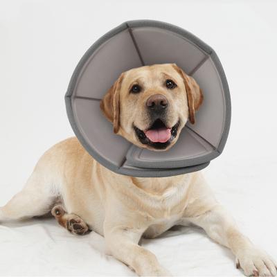 China Amazon Viable New Dog Cat After Surgery Collar Pet Adjustable Soft Recovery Cone Collar for sale