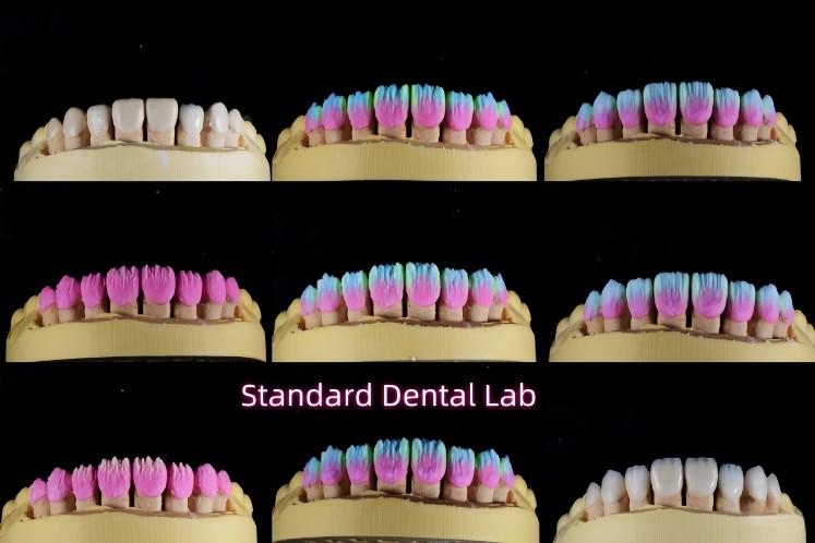 Verifizierter China-Lieferant - Standard Dental Lab Co., Limited