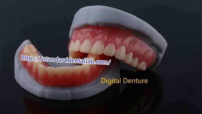 確認済みの中国サプライヤー - Standard Dental Lab Co., Limited