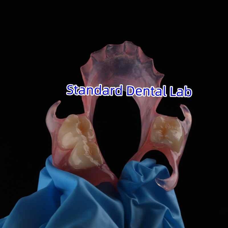 確認済みの中国サプライヤー - Standard Dental Lab Co., Limited