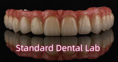 China Professional High Esthetics Porcelain All On 4 Zirconia Bridge Dental Implants for sale