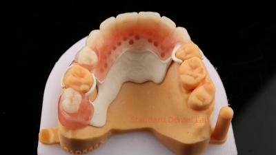 China Ein Blick auf das Design des Teilrahmens ISO CE und FDA Dental Lab Acryl-Teilprothesenrahmen zu verkaufen