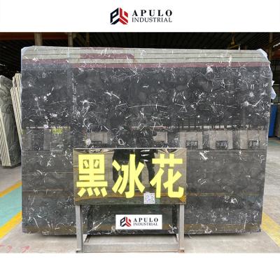 China Modern Factory Direct Low Price Polished Morocco Black Fossil Marble Black Tile Marble Slabs With Fossils for sale