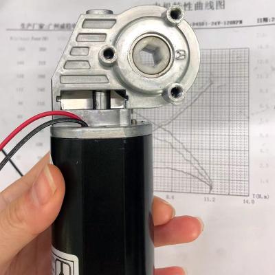 China DC Motor 24V 20Nm Totally Enclosed Torque 120Rpm Height Adjustable Worm Gear Desktop Motor for sale