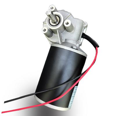 China Totally Enclosed Bearing 300Kg 10mm Lead Shaft DC Geared Motor 150Watt Rotisserie DC 12V Motor for sale