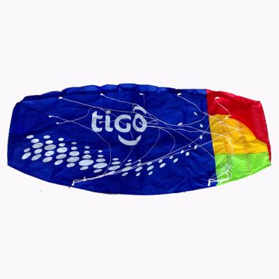 China Gift good quality easy flying promotional 3d power sport big soft kite for sale