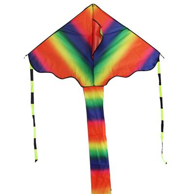 China China Manufacturer Kid Promotional Outdoor Easy Flight Rainbow Delta Delta Kite for sale