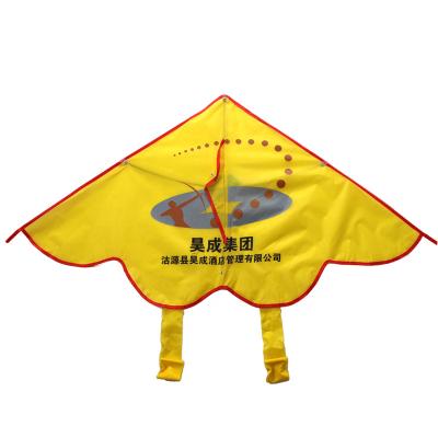 China Promotional gift kite diy drawing kites buy diy kites for sale