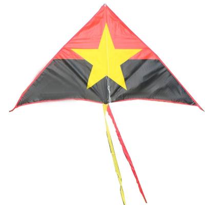 China Promotional Adult Gift Kite Designs Professional Delta Fashion Kite for sale