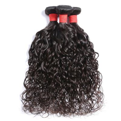 China Beautiful 100 Percent Authentic Brazilian Water Wave Hair Super Soft Soft Extension for sale