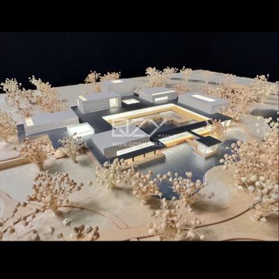 Cina Chen Liang Cultural Exhibition Center Model Atelier Apeiron Architects 1/500 Modello architettonico in vendita