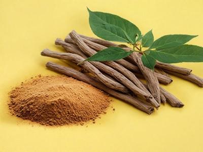 China Antioxidant Ashwagandha Root Extract Powder With 5% Withanolide Cas 90147-43-6 for sale