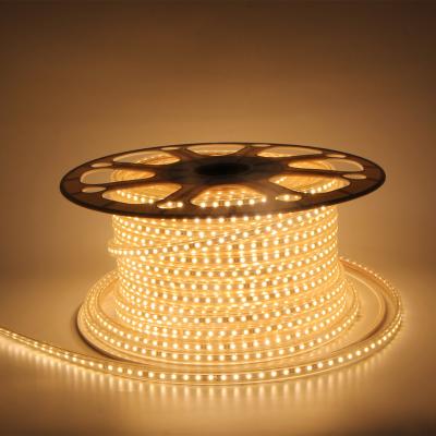 China LANDSCAPE AC110V AC220V 2835 3000K Outdoor Tree House Decoration CCT AC230V Waterproof 50M ETL CE IP65 Led Strip Lights for sale