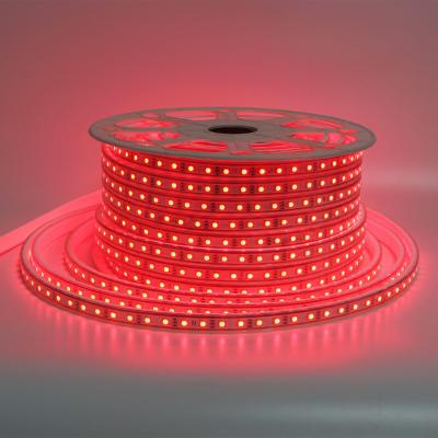 China LANDSCAPE RGB LED Strip Lights Roll 5050 Multicolor Flexible Outdoor Waterproof Led Light Strips IP65 AC220V AC110V 50m for sale