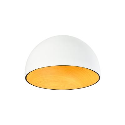 China Outdoor Factory Hot Sale Aluminum Round Exterior Mount Modern Ceiling Led Lights for sale