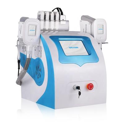 China Factory direct sales portable weight loss portable criolipolisis diet machine for sale