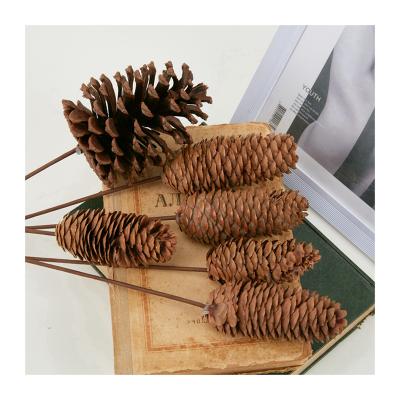 China Pinecone Forest Pinecone Forest Plant Shell Dried Fruit Dried Flower Retro Decorative Material Shooting Props for sale