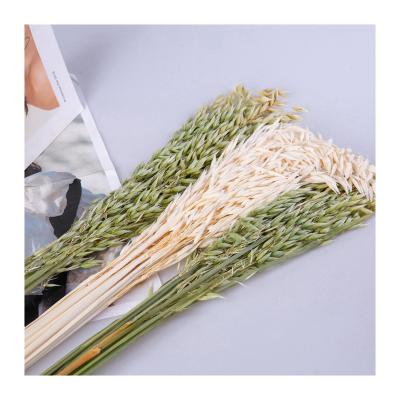 China Natural Dried Flower Ear Bouquet Wheat Bouquet Barley Pastoral Wedding Decoration for sale