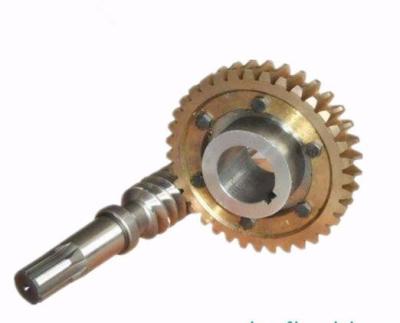 China Hotels CNC Machining Stainless Steel Worm Gear for sale