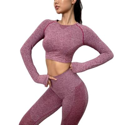 China Ready More Stock Ladies Factory Supply Size Yoga Suit Fitness Tops And Gaiters Seamless Set for sale