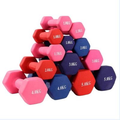 China Durable Ever Shape New Gym PVC Coated Hexagon 1 Kg Barbell Dumbbell Cross Fitness Gym Equipment 2021 for sale