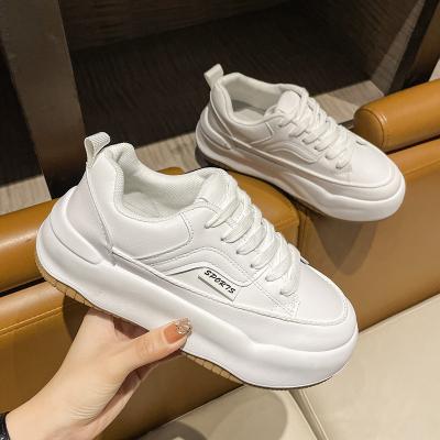 China Fashion trend low price promotion mesh breathable comfortable dad shoes thick soled everyday sneakers high fashion for sale