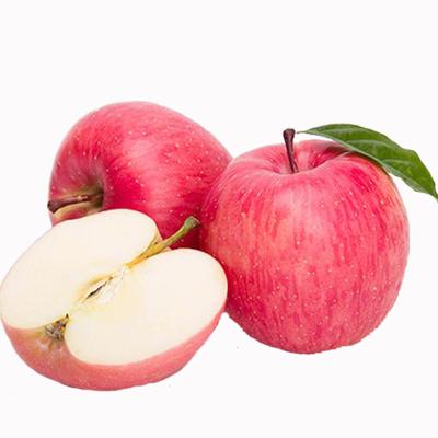 China New export grade China Fuji Apple white bentgrass fresh red honey crisps 2022 culture bright sweet style with competitive wholesale prices for sale