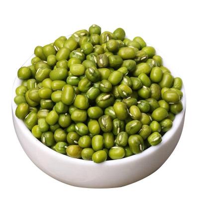 China 100 2022 High End Green Gift Box Beans Germination Dry Bulk Type Color Weight Source Vacuum Rate 100 Beans Mung Style High End for sale