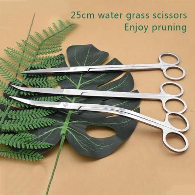 China Hot Selling Viable Stainless Steel Aquarium Tool Straight Lengthened/Curved/Wave Shape Aquarium Grass 25cm for sale