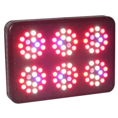 China Dual-switch 2121 Full Spectrum Grow Lighting Best Appolo Plus Hydroponics Grow Kit For Indoor Greenhouse Seeding LED To Grow Light 300W 400W for sale