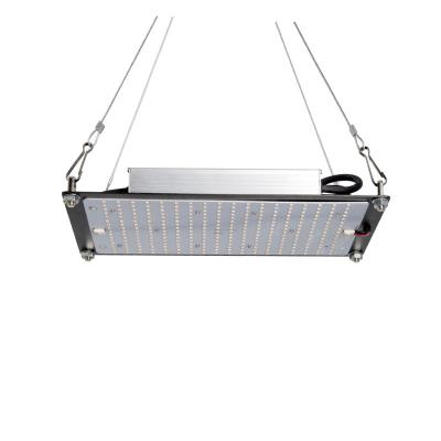 China Seed starting PPFD plant 240w indoor hydroponic lamp lm301h lm301b high full spectrum led grow lights for sale