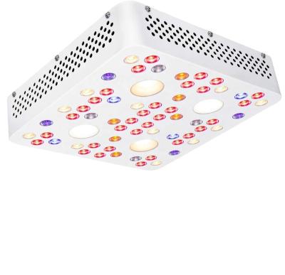 China Seed Starting IR LED UV Grow Light Horticulture COB Cultivation Growing Light For Flowering Growing Plants for sale