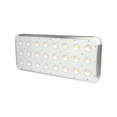 China Seed Starting Hydroponic Greenhouse Plant Lamp LED Grow Light Full Spectrum For Indoor Plants Hydroponic Growing Systems for sale