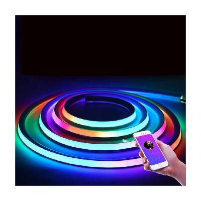 China Commercial Use China Factory Assured Ip67 12v RGB Neon Lamp Good Quality Waterproof Sign Neon Lights For Christmas Light for sale