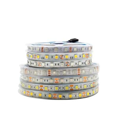 China Professional Hot Selling LANDSCAPE Lower Price Ip65 Waterproof Landscape Lighting RGB Rgbw Set Outdoor Led 5050 Strip Light For Engineering for sale