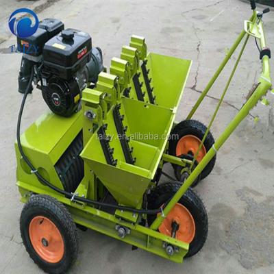 China 5 rows garlic sower machine garlic planter for sale