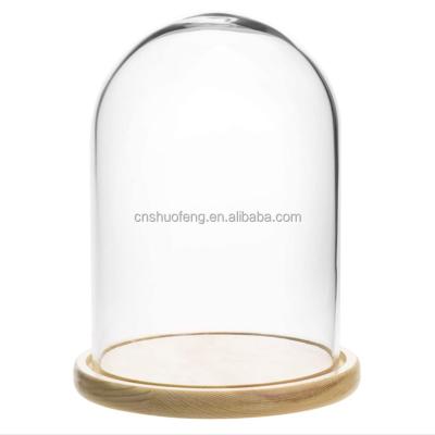 China Wholesale Good Quality All Over Glass Bell Glass Dome With Wooden Base Tall Display Clear for sale