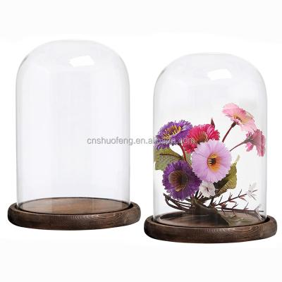 China Whole Whole Popular Decorative Sale Wholesale Customized Glass Dome With Bases for sale