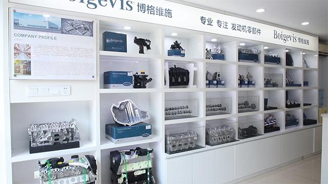 Verified China supplier - Boigevis Trading (Guangzhou) Co., Ltd.