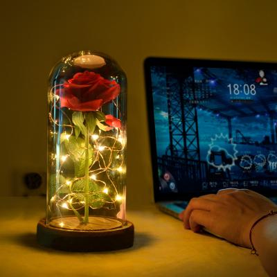 China New Design Lasting Beauty and the Beast Rose Wholesale Preserved Eternal Roses with Led Lights in Glass Dome for sale