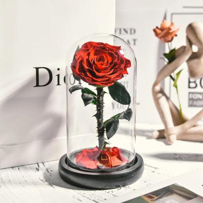 China Hot Selling 2021 Eternal Forever Flower Mounted Natural Handmade Eternal Preserved Flowers Roses In Glass Dome For Valentine Mothers Day Gifts for sale