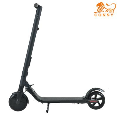 China ES02 electric scooter250w 36v 6ah 7.8ah self balancing electric scooter 10inch for sale