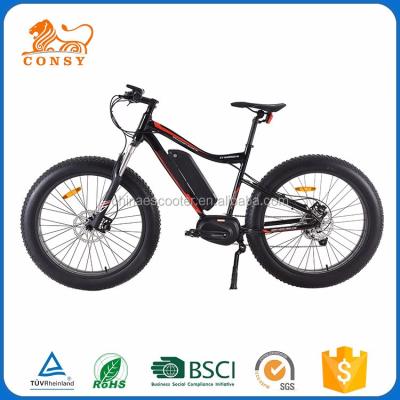 China Aluminum Alloy XY-WARRIOR-M 4-6h Recharging Time Mountain Bike Electric Bike Fat Tire for sale