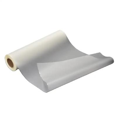 China Apparel source manufacturers PET 60CM*100M digital dtf printer film water transfer film printer plastic sheet printer for sale