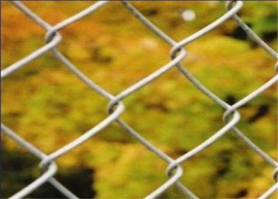 China Anti Corrosive Square Hole Aperture 40mm Diamond Wire Mesh Fence for sale