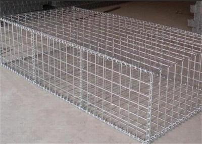 China Hot Dip Silver Color 80*100mm Gabion Wire Mesh for sale