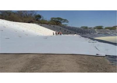 Κίνα 800g μη υφαμένο Geotextile ύφασμα πολυπροπυλενίου για την ενίσχυση προς πώληση